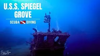 SCUBA Diving SHIPWRECKS in KEY LARGO - Sharks on the U.S.S. Spiegel Grove