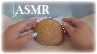 ASMR Coconut Sounds [no talking]