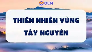Thiên nhiên vùng Tây Nguyên - Lịch sử và Địa lí lớp 4 SGK mới