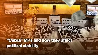 &ldquo;Cobra&rdquo; MPs and how they affect political stability
