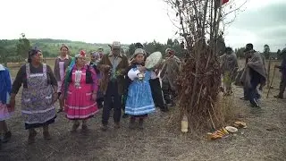 Mapuche people fight to preserve language and culture