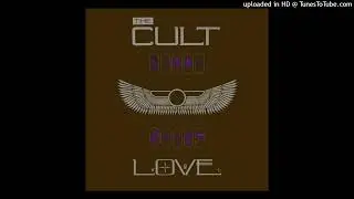 The Cult - Hollow Man (Original bass and drums only)