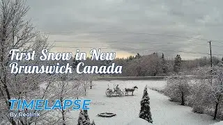 Reolink Captures: First Snow of the Season in New Brunswick Canada