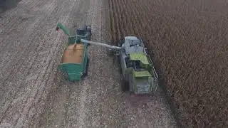 Harmes Pluimvee B.V. Klazienaveen.  Mais dorsen.
