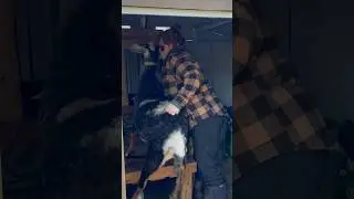 Day 14 milk stand training! #dairygoat #farm #homestead #nubiangoat #kiddingseason