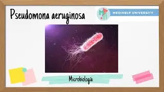 ¿Pseudomonas aeruginosa? La bacteria oportunista…