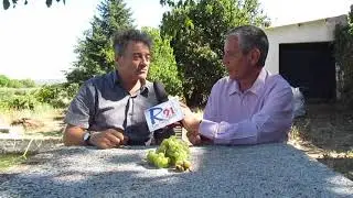 JOSE MANUEL GONZALEZ, AGRICULTOR DE SAN MARTIN DE VALDEIGLESIAS