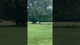 Tim Hill - Dover Sherborn High School 2024 -  Golf