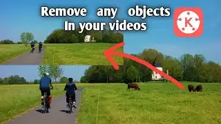 how to Remove any objects from video in Kinemaster