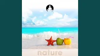 Dolphin Magic