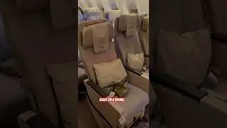 Летим эконом-классом @emirates 🇦🇪✈️ #emirates #эконом-класс #путешествия #отзыворейсе