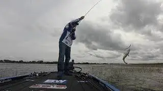 Todd Faircloth - Stage 1 Lake Toho Bass Pro Tour 2019
