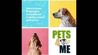 Every Dog has a unique Nose print