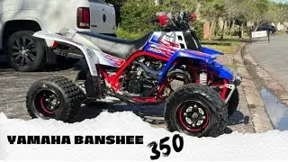 Banshee 350  | Tarde a pura velocidad en el circuito MX Pigue 