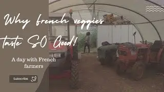 A Day on a French Farm. #americaninfrance #frenchfarming #frenchmarkets #france #farmersinfrance