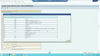 Number range assignment for Material Type in SAP