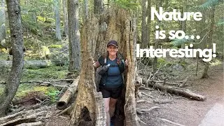 Being Mesmerized in Yellowstone & Glacier National Park
