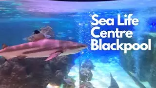 Blackpool Sea life Centre