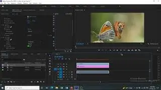 change video background | how can change background | premiere pro | remove green background 2022