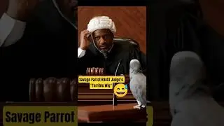 Savage Parrot ROASTS Judge's 