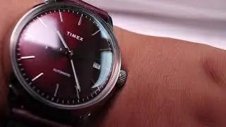 Timex Marlin 40 мм автоматический (бордовый циферблат)