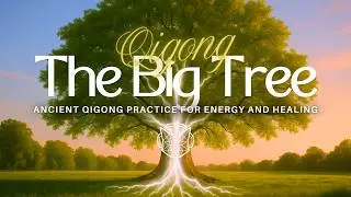 Big Tree Qigong &ndash; 👉🏻 No ads🌳! Standing Meditation Music for Grounding & Energy