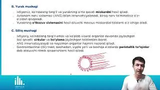 Mushaklar sistemasi