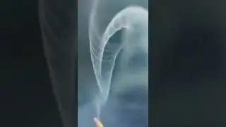 Burning incense... #shorts #shortvideo #incense #burning #smoke
