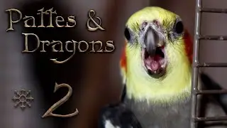 CREVETTES, ARC-EN-CIEL ET TYRANNOSAURE - Pattes & Dragons #2
