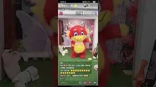 20251206 花花，我想你了