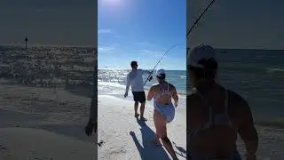 Shark fishing at a packed beach 🌊 Must see, 6ft Sandbar 🦈🎣🤙
