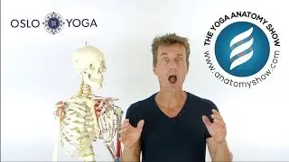 Oslo Yoga Anatomy Show'17