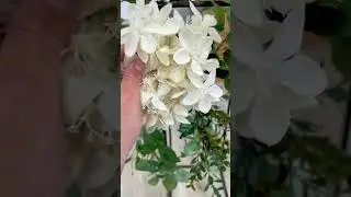 Flower arrangement for wedding centerpieces #flowerarrangement #weddingcenterpiece #diyonabudget