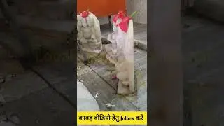 Bisla Shiv Mandir #viralvideo #kawadyatra #shiv #bholenath