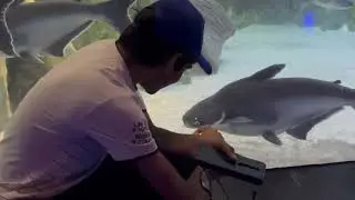Science City Aquarium 🐠 | रंग-बिरंगी मछलियों की अद्भुत दुनिया” #sciencecityahmedabad 