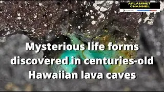 Mysterious life forms discovered in centuries old Hawaiian lava caves