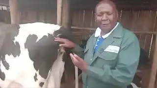 TANOLOPE DAIRY CONSULTANTS.