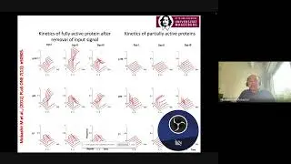 Mathematical Modeling and simulation signaling pathways and network (Day 3): Phd Thesis