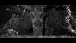 Woodkid - RUN BOY RUN (Video Teaser)