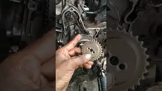 Hf Deluxe Timing Chain Setting #Shorts