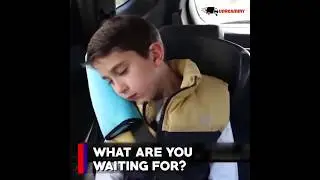Seatbelt Pillow