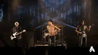 Les Abattoirs SMAC ϟ THE DIZZY BRAINS ϟ Live 3 Novembre 2017