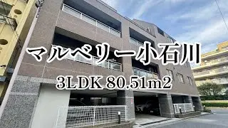 マルベリー小石川 3LDK (80.51m2) / 文京区・小石川 平置き駐車場完備のファミリー物件のご紹介。
