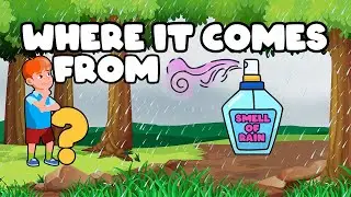 Smell of Rain | Petrichor | How it's produced? | Scientific Explanation | ANbros