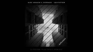 Alec Araujo & Aurokes - Levitation (Original Mix)