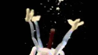 Exploding Bunchberry Video at 10,000 FPS