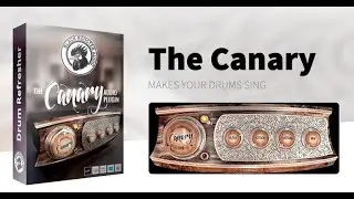 The Canary by Black Rooster Audio - Free drum processor