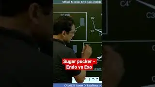Sugar pucker - Endo vs Exo conformation.