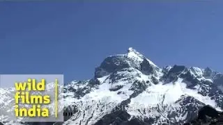 Hata valley and peak above Har ki dun in Uttarakhand