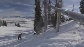 Snowboard (Skiing) - Jack Hessler 2014